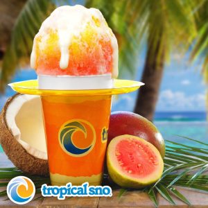 Make The Perfect Shave Ice With Tropical Sno